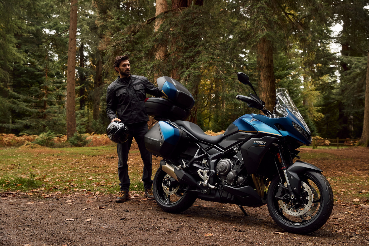 Tiger Sport 800 Tour